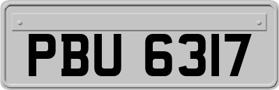 PBU6317
