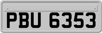 PBU6353