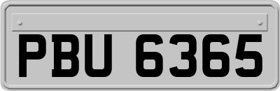 PBU6365