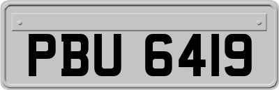 PBU6419