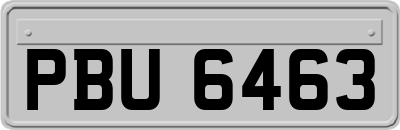 PBU6463