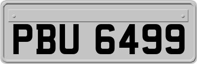 PBU6499