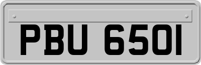 PBU6501