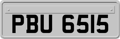 PBU6515