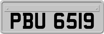 PBU6519