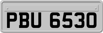 PBU6530