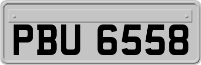 PBU6558