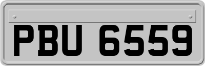 PBU6559