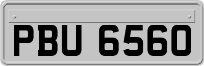 PBU6560