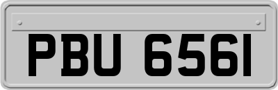 PBU6561
