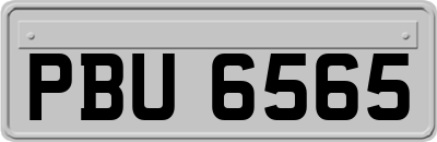 PBU6565