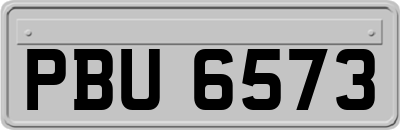 PBU6573