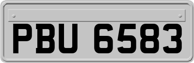 PBU6583