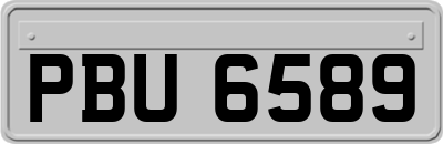 PBU6589