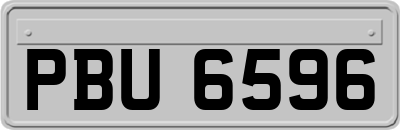 PBU6596