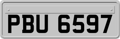 PBU6597