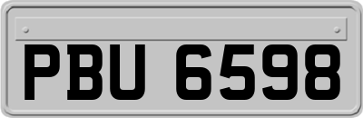 PBU6598