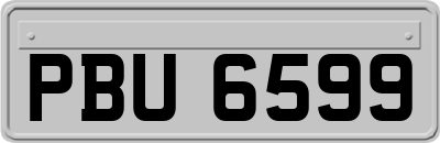 PBU6599