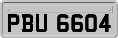 PBU6604