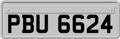 PBU6624