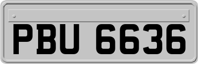 PBU6636