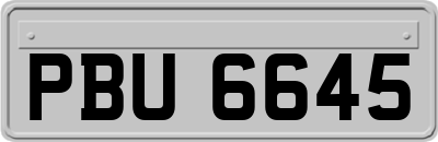 PBU6645