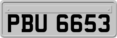 PBU6653