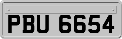 PBU6654