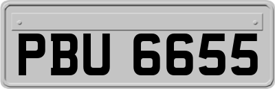 PBU6655