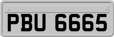 PBU6665