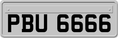 PBU6666