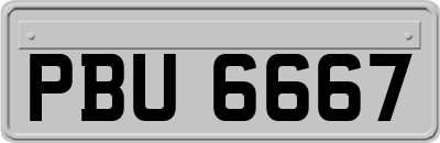 PBU6667