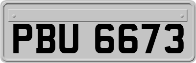 PBU6673