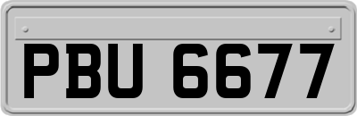 PBU6677