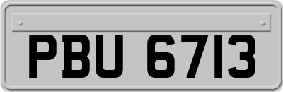 PBU6713