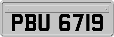 PBU6719