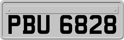 PBU6828