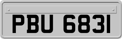 PBU6831