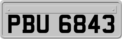 PBU6843