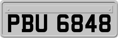 PBU6848