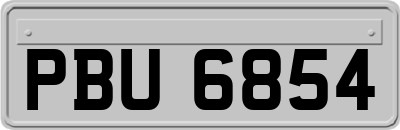 PBU6854