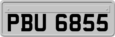 PBU6855