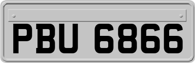 PBU6866