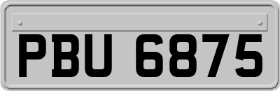 PBU6875