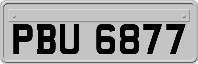 PBU6877