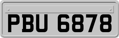 PBU6878