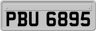 PBU6895