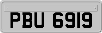 PBU6919