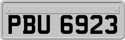 PBU6923