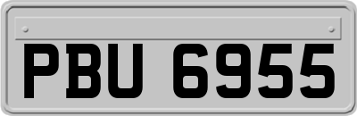 PBU6955